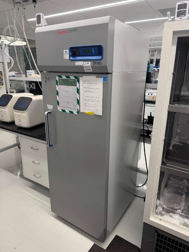 Image of Thermo TSX Series -20C Freezer